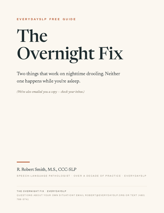 The Overnight Fix guide cover